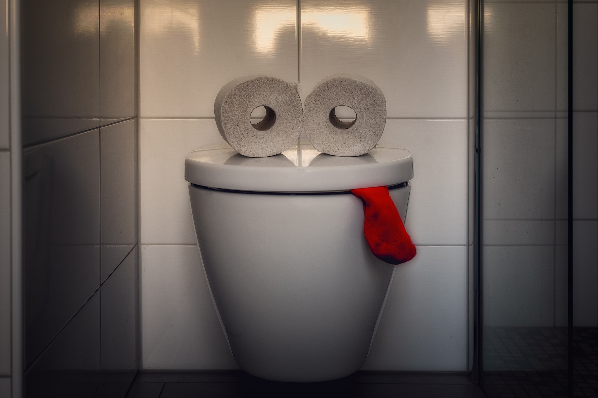 Dois rolos de papel higiênico, uma privada e um pano vermelho, parecendo um rosto.